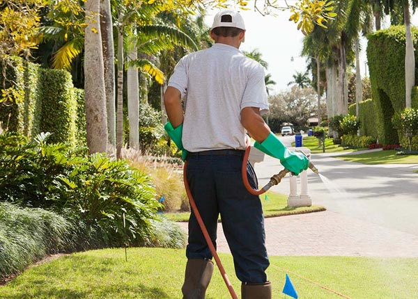 About Rosedale WV Pest Control